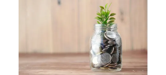 Greenmind Energieberatung 