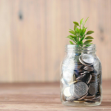 Greenmind Energieberatung 