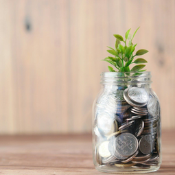 Greenmind Energieberatung